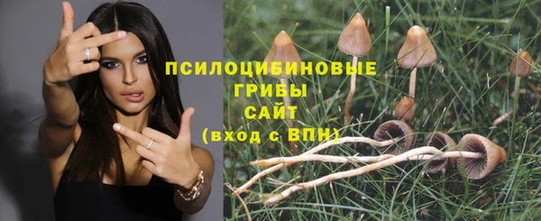 бошки Армянск