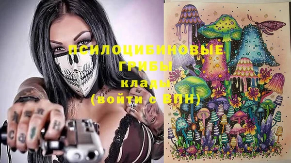 гидра Осташков