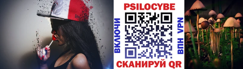 OMG ТОР  Армянск  Псилоцибиновые грибы мухоморы 